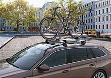 https://www.skoda.ch/myskoda/transportsysteme